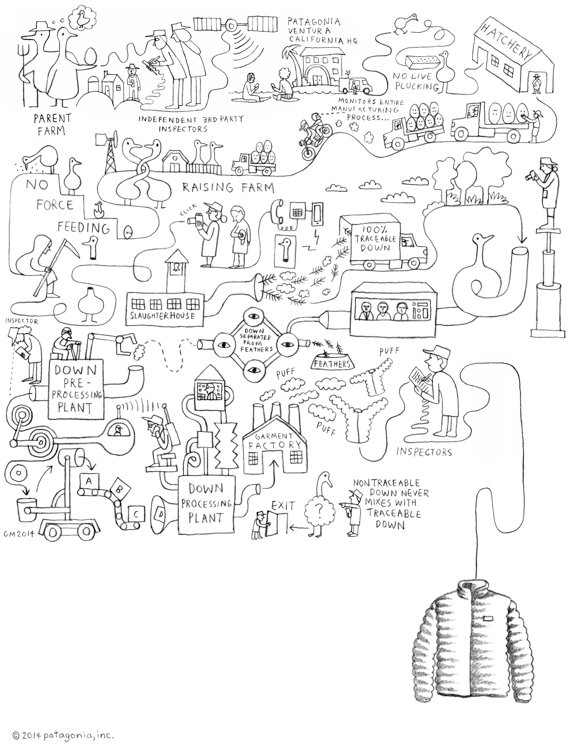Sketched: Patagonia's Traceability Down Standard