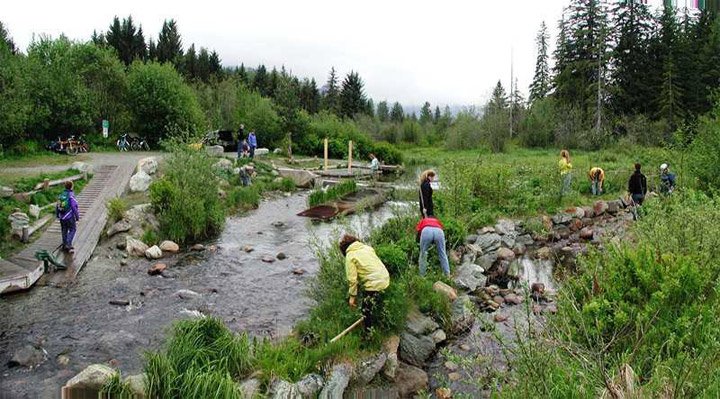 habitat_improvement_team_whistler