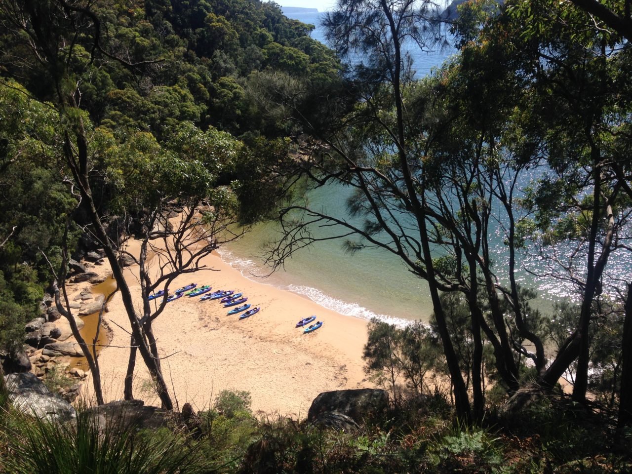 syndey_resolute_beach_kuringai