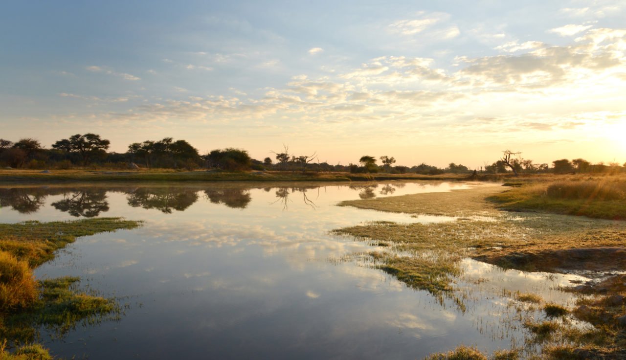 the_hide_watering_hole_sunrise.jpg