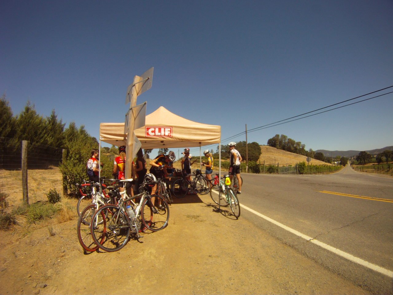 napa_valley_road_cycling_route