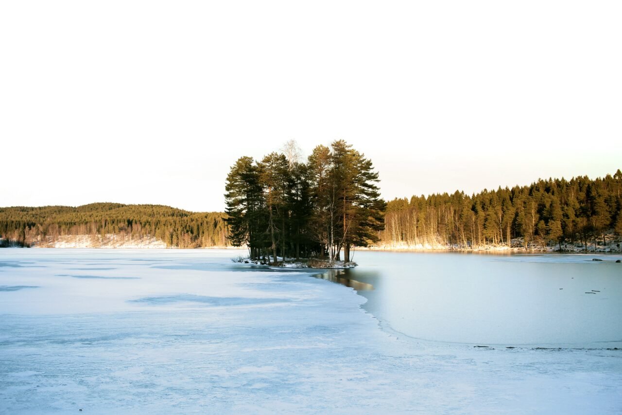 Sognsvann