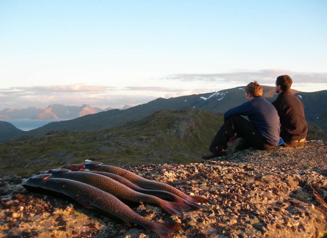 Zafiri - Trout Fishing Sørøya, Norway
