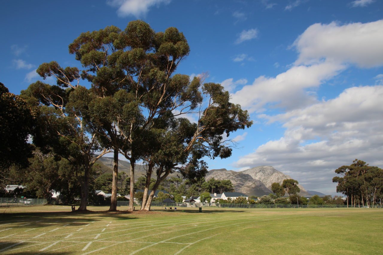 hermanus_high_school_running_track_zafiri