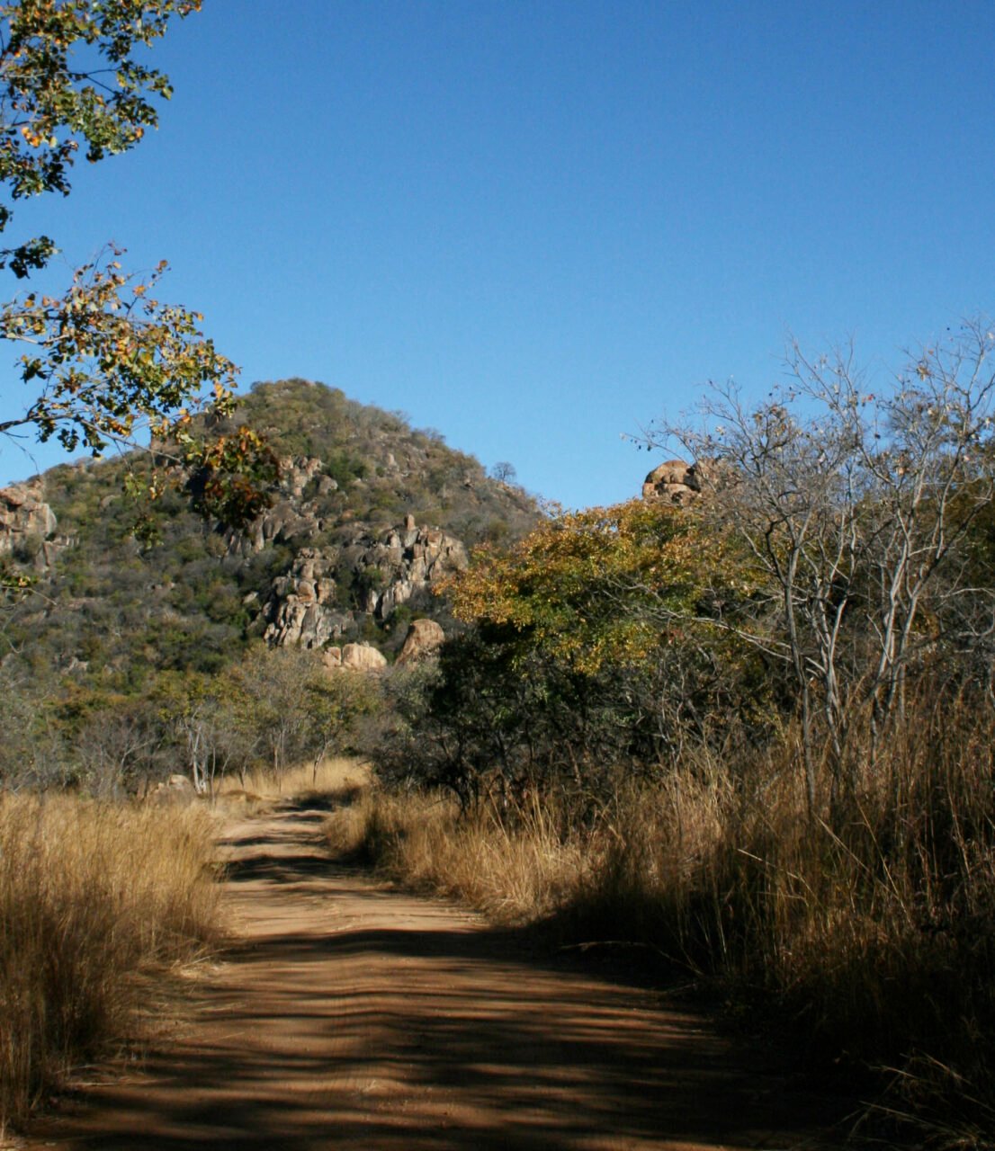 matobo_hills_trail_running_zafiri