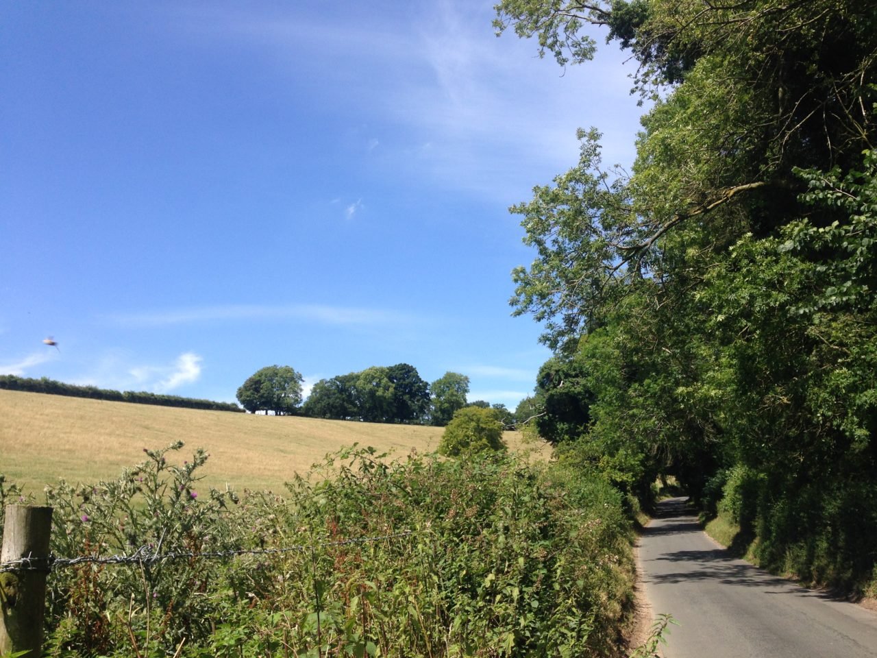 chiltern_hills_cycling