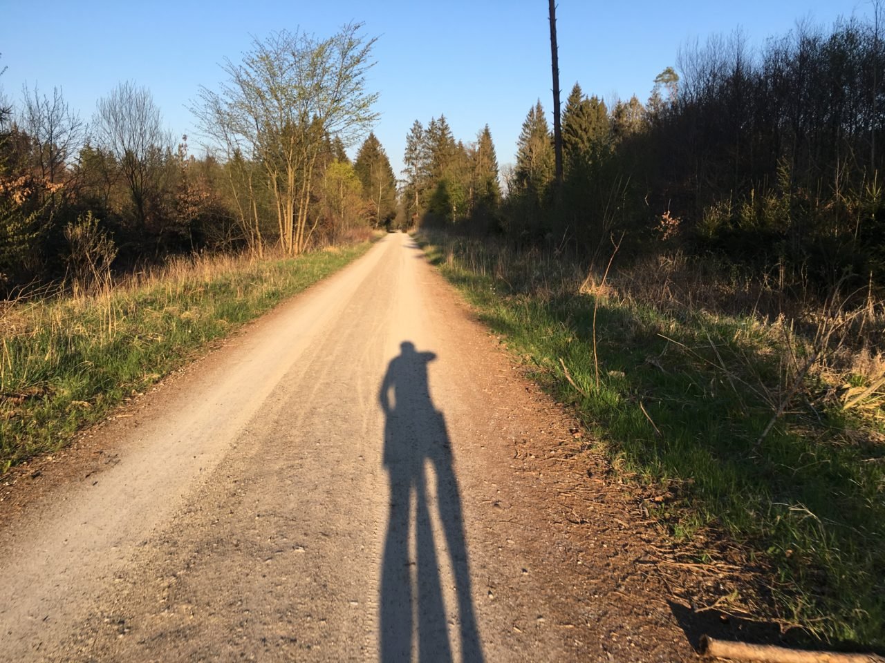 cycling_munich_forstenrieder_park