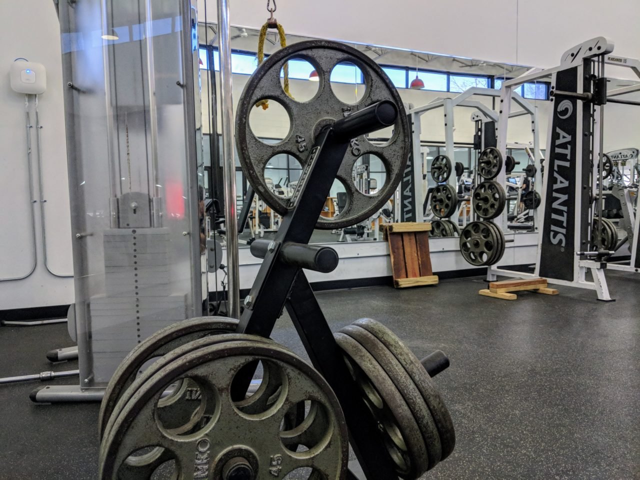 bard_college_weights_area