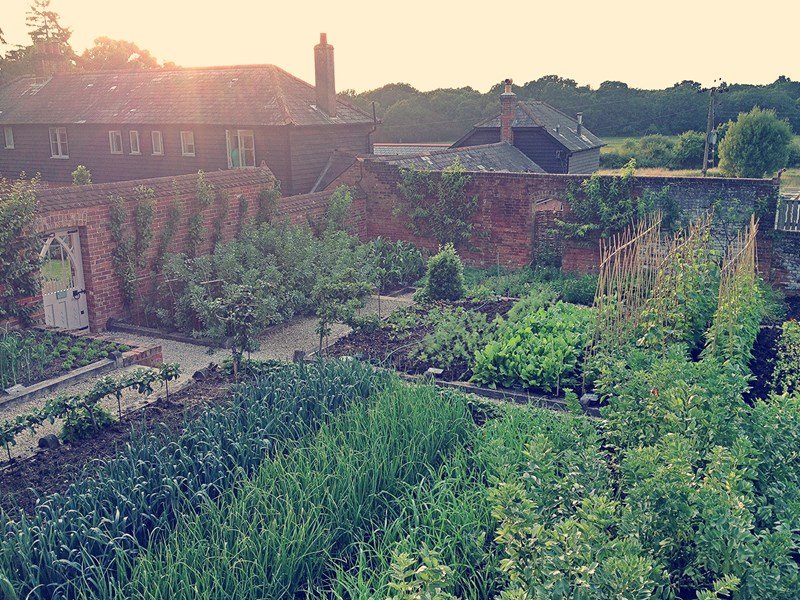 the_pig_brockenhurst_garden_sunset