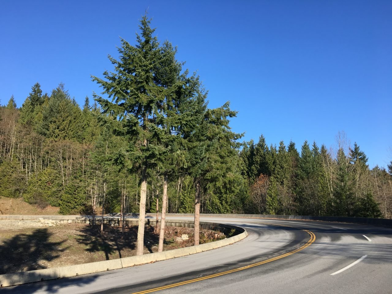 cypress_mountain_vancouver