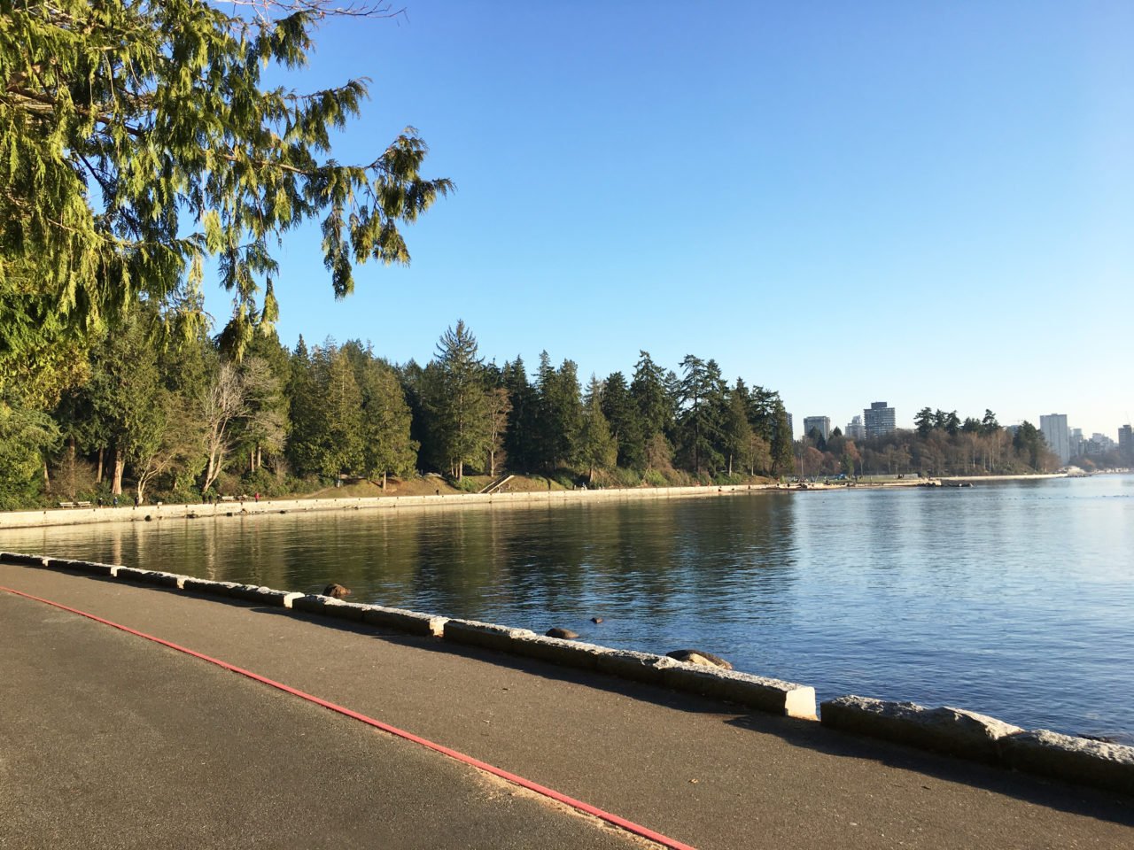 stanley_park_sea_wall_towards_town