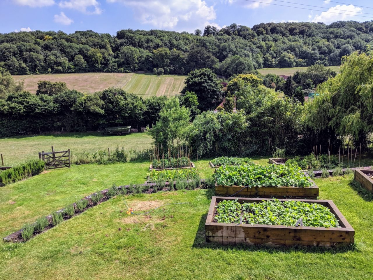 the_mash_inn_buckinghamshire_garden
