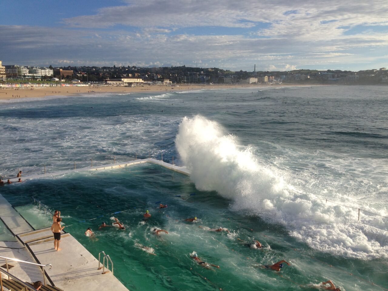 sydney_bondi_icebergs_zafiri